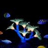Fluoreszierende Aquarium-Fischbecken-Landschaftsdekoration Silikon-Simulations-Software Korallenbaum Seeanemone Aquarium-Szenerie