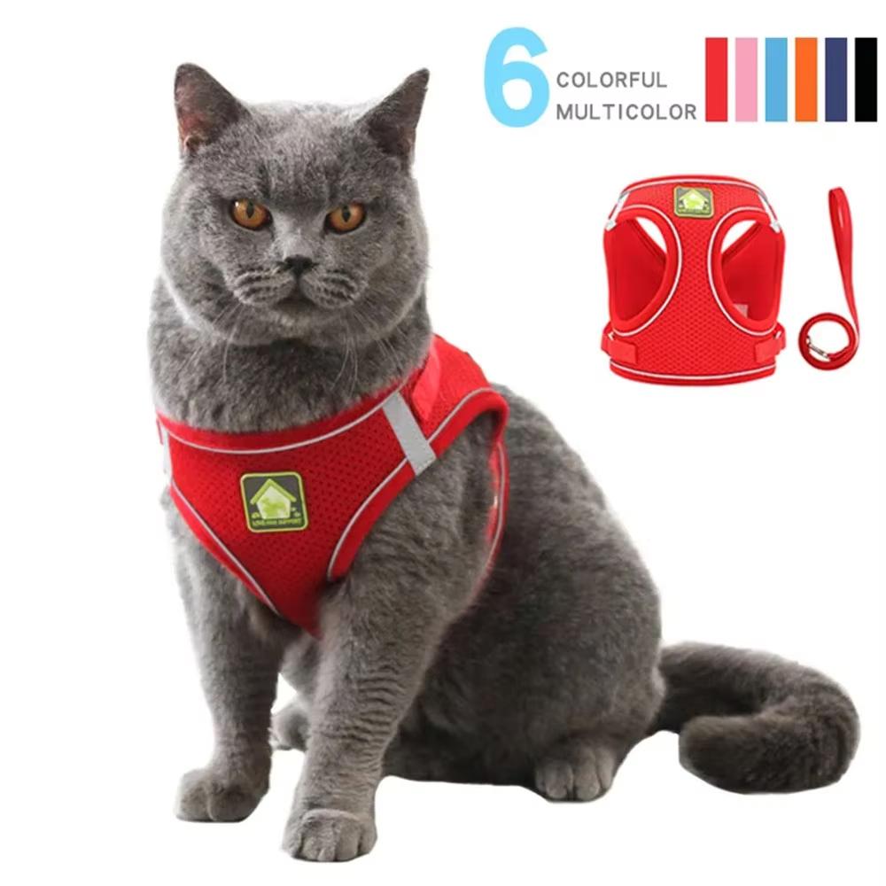 Oem Verstellbares Anti-Ausbruch Westengeschirr Atmungsaktive Welpenleinen Kätzchen Haustier Zubehör Für Outdoor Camping Bequemes Halsband Leine