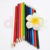 In Stock: 12-Color Oil-Based Colored Pencil Set for Kids & Students - Ideal for Sketching, Doodling & Hand-Painted Art