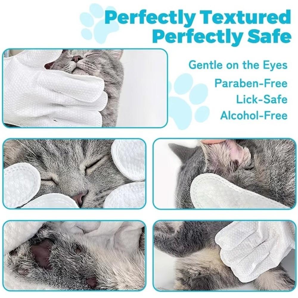 6Pcs Set Pet Care Paws Cleaning Pet Wipes Gloves Deodorizing Muti-purpose Cleaning Wipes Pet Wipes Disposable Gloves