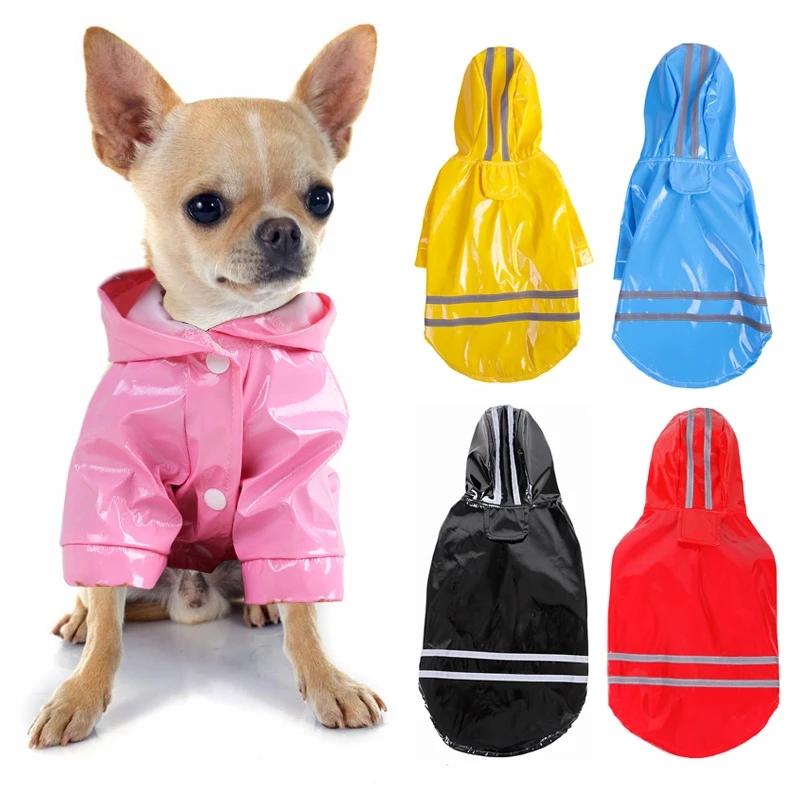 duck dog raincoat