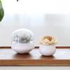 Exquisite Lotus-shaped Cotton Swab Box, Portable Cotton Swab Holder, Toothpick Storage, Covered Cotton Swab Seat