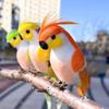 6 Stück gemischte Farben Papagei künstliche Vögel Schaumstoff mit Clips Simulationsvogelmodell Handwerk Foto Requisiten Falscher Wellensittich Vogel