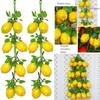 2-Strings 52cm Lemon Modle Artificial Fruit Home Garden Wall Hanging Ornaments