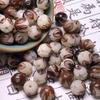 Bodhi Root Beads with Lotus & Cloud Patterns for DIY Buddhist Accessories