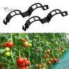 50/100Pcs Plant Clips Easy To Use Plastic Plant Support Clips Clear Tomato Clips Hollow Design Stem Support Clip for Vertical Gardening Climbing