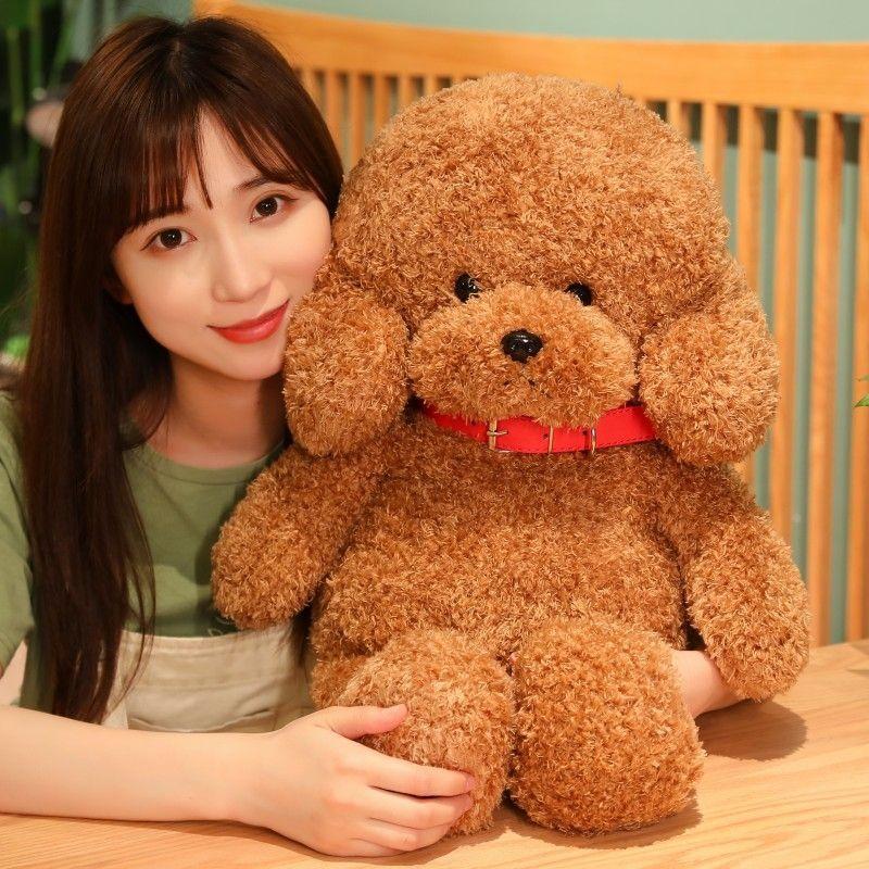 Cute Teddy Dog Doll Plush Toy Doll Sleeping Pillow Girl Puppy Children Gift Small Girl