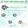 ZENELI Soccer Ball Net Supplies [Supervised by Licensed Coach] Soccer
