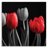 Canvas Print, Red Tulips