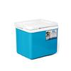 Tri-polar 6L Portable Cooler Box with Ice Packs