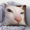 Funny Cat MMeMe  Pillow Covers Home Sofa Cushion Covers and Aecorative Custom