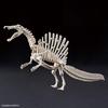 BANDAI SPIRITS Planosaurus Spinosaurus color-coded plastic model
