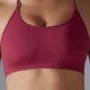 Seamless Knitted Yoga Bra, Fast Drying Tight Fitness Running Clothes, Strap Cross Back Yoga Clothes