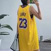Nike NBA Youth Los Angeles Lakers LeBron 23 Casual Sports Suit Kids suits Yellow 3Z2B7BZ2P-LAKJL