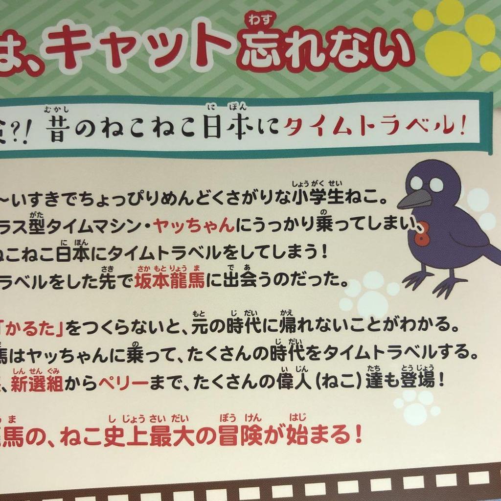 [USED] Neko Neko Nihonshi: Ryoma's Crazy Time Travel! DVD Case