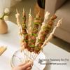ZISIZ Disposable Bamboo Skewers