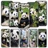 Fubao Panda Phone Case For Realme 13 12 10 9 8 7 GT3 GT5 GT2 Pro Plus 5G C21 C25 C35 GT Neo 2 3 3T 5 Cover