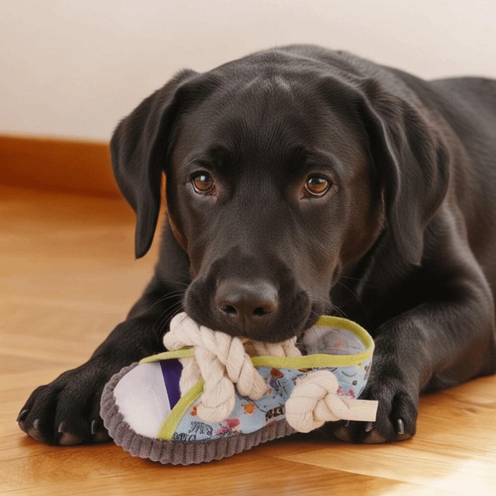 Interaktives Hundequetschspielzeug Schuhe Form Bissfest Hausschuhe Haustier Kauspielzeug Welpe Spielen