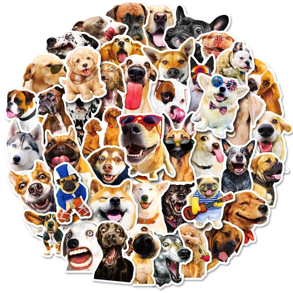 50 Realistic Dog Stickers Animal Cute Pet Collection Shiba Inu Cute Animal Golden Retriever Dog Head Emoticon Stickers