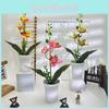 Orchid Artificial Plant For Wedding Decor With Realistic Design For Photography And Home Display