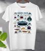 Shark Faces Sea Life Type Of Shark  T Shirt  Unisex Men's Ladies Top