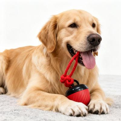 Interaktiver Hundeball mit Seilen, Tägliches Training, Drei Spielmodi, für Kleine und Große Rassen. Clever