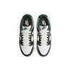 Nike Dunk Low Women White Pro Green Coconut Milk DQ8580-100