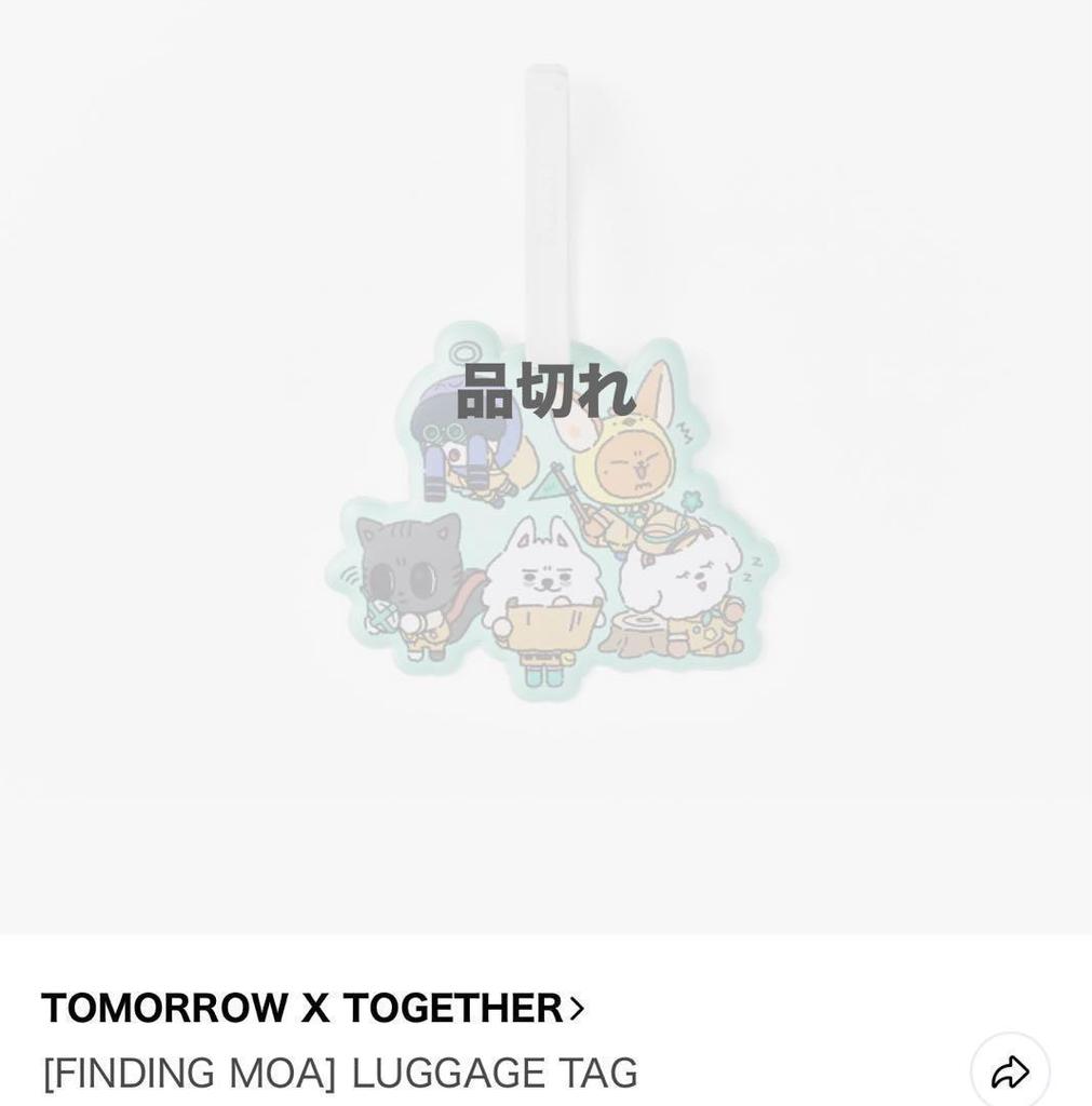 [USED] TXT Pulpadu * Luggage tag * Korea popup *
