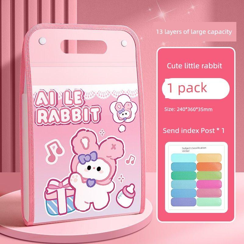 Large Capacity File Holder Ins Good-looking Paper Buggy Bag Organize Fantastic Middle School Students Book Clip Subject Classification Test Paper Clip