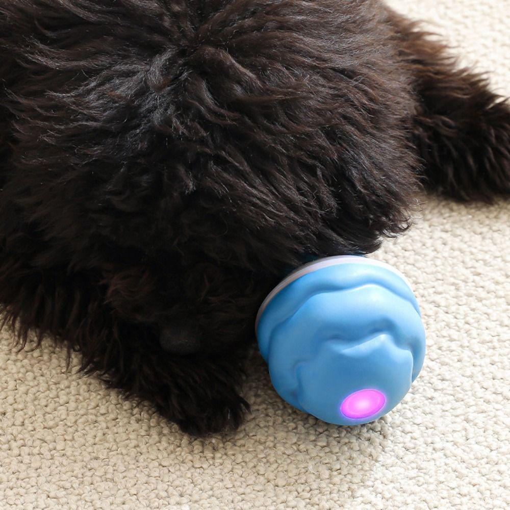 Bite Resistant Electric Dog Toy Ball Automatic Bouncing Dog Interactive Ball Dog Supplies