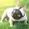 Outdoor Prevent Stealing Biting Dog Muzzle for Dogs Mesh Breathable French Bulldog Pug Face Mask Mascotas Accessories Products