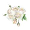 [wrapped] jill stuart hand cream white floral 30g hand care department store cosmetics birthday anniversary mothers day present gift women popular s