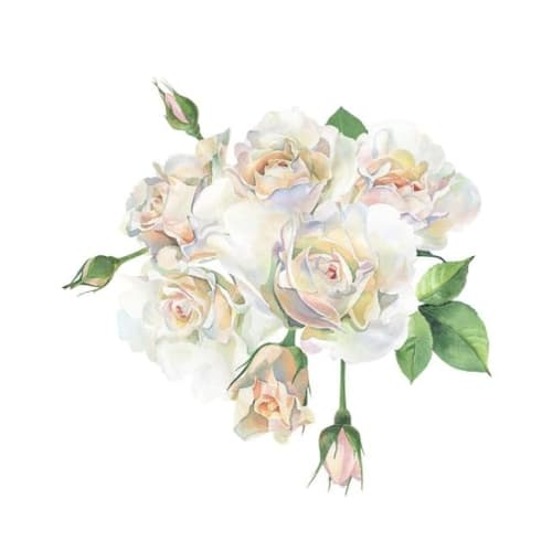 [wrapped] jill stuart hand cream white floral 30g hand care department store cosmetics birthday anniversary mothers day present gift women popular s