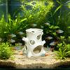 Vissen en zeedieren – Aquarium decoratie