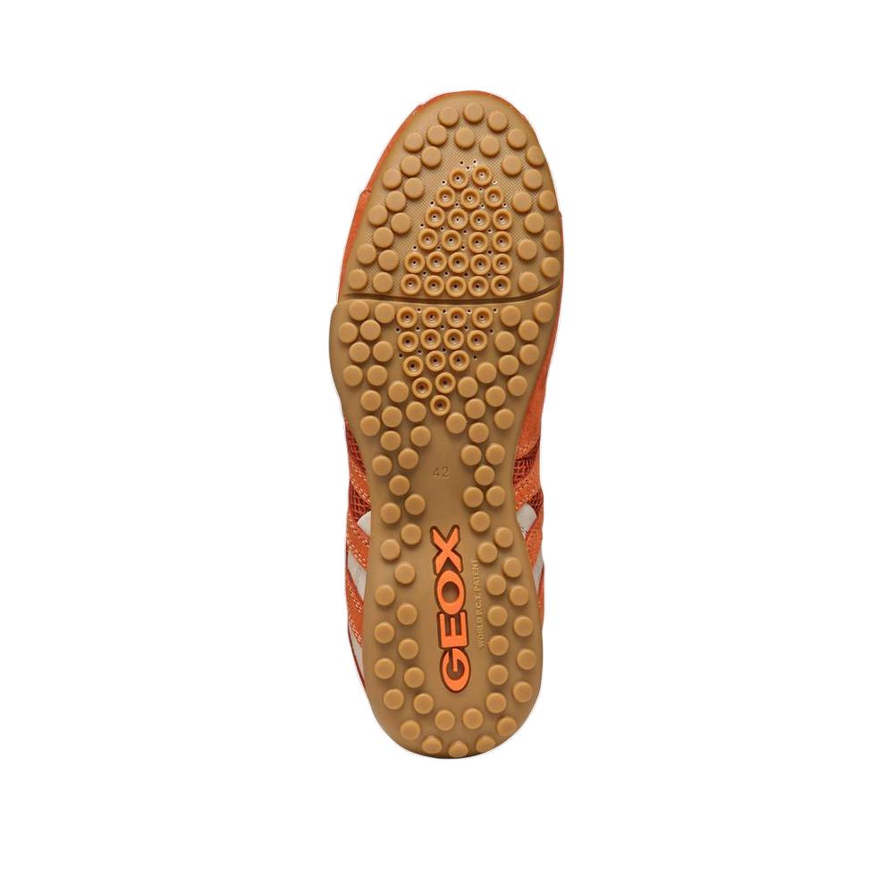 Sneakers Geox Snake Original A