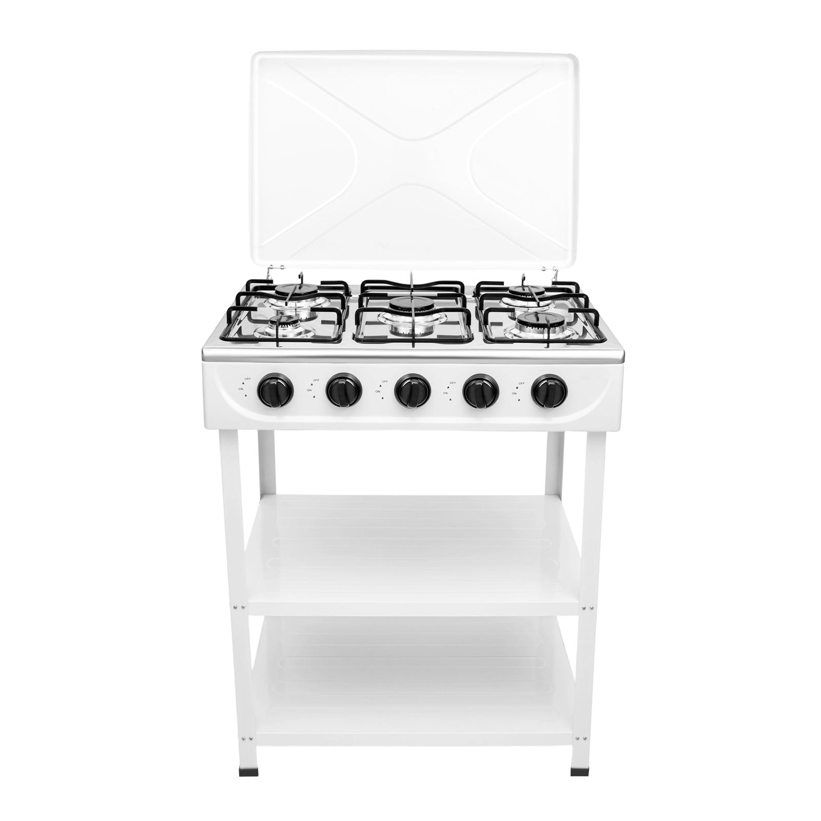 

5 Burner Outdoor Gas Stove 2.5KW Camping Cooker Portable NG LPG Iron Enamel for Garden Patio BBQ Picnic белый