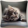 Sofa Pillow Pillowcase Skin-friendly Short Plush Cute Animal Cat Pillow Cover Living Room Cushion Cover Without Core