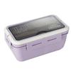 Zhi Shi Microwave & Refrigerator Safe Lunch Box