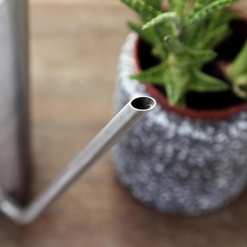 Gießkanne mit langem Hals Zimmergießkannen für Zimmerpflanzen 15 l Kleine Metallgießkanne für Zimmerpflanzen Blumengießen