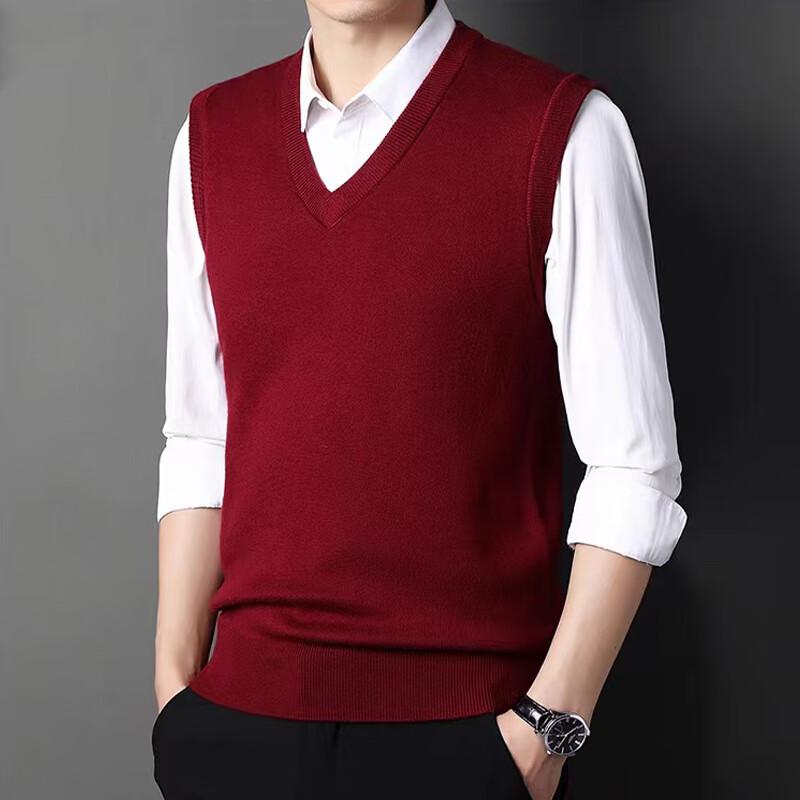 

Raphenny Men s V-Neck 100% Wool Vest L