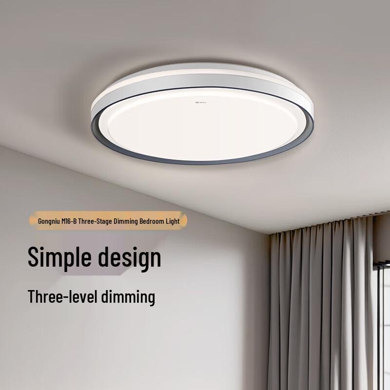 Bull LED Dimmable Ceiling Light