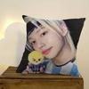 Decorative Room Aesthetics Pillow Case Home Decor Bedroom Sofa Bed Couch Pillow Cover 45X45 Idol Cool F-Felixs Singer