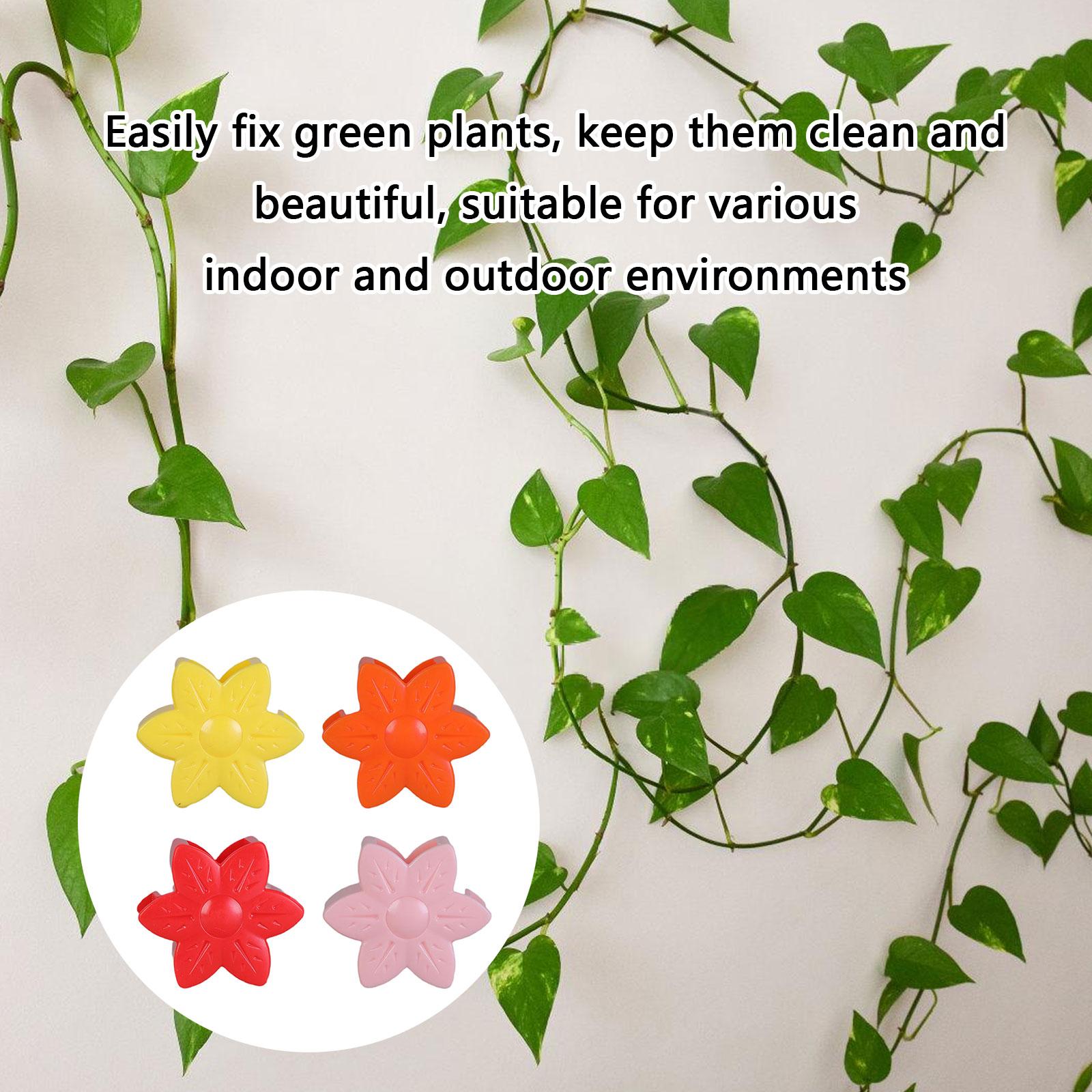 

40 шт. зажимы для настенных растений зажимы для вьющихся растений зажимы для настенных креплений зажимы для сосны зажимы для растений лианы оранжевый