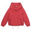 Neue Daunenbaumwollkleidung Damen Kurz Kurz Klein Verdickt Warm Kapuzenwinter Brotkleidung Jacke Tide