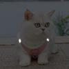 Rabbit Fur Cat Dog Harness and Leash Set Winter Pet Outdoor Walking Supplies Reflective Adjustable Kitten Puppy gatos Harnesses
