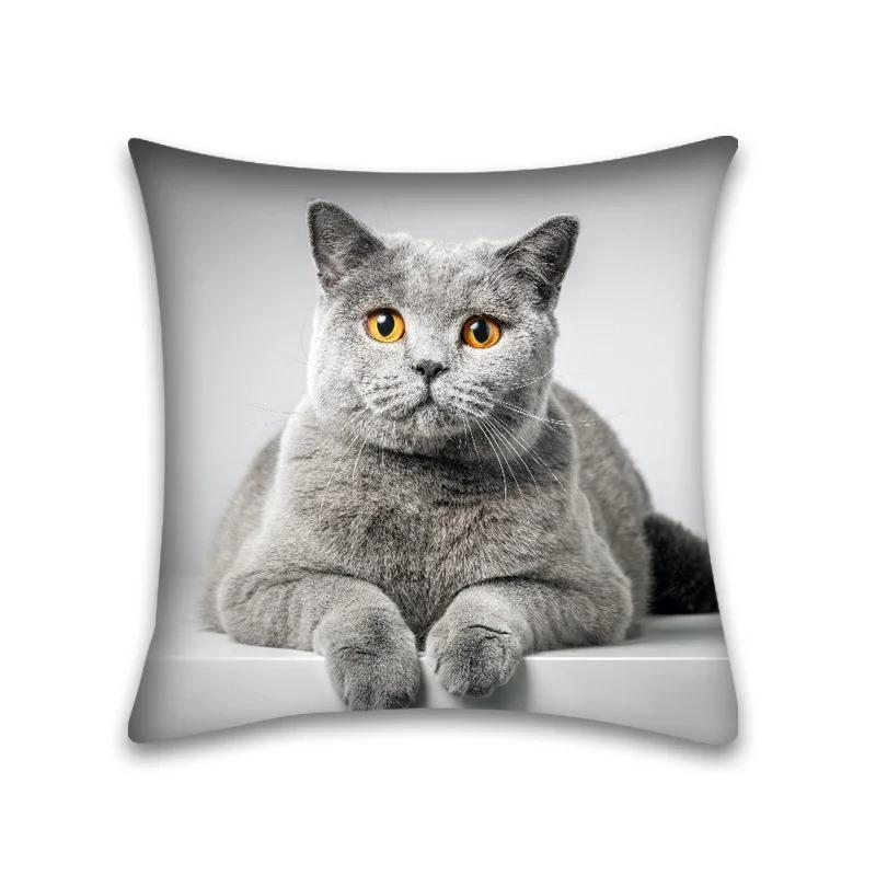 Colorful Cat Animal Decorative Pillowcase Living Room Office Ornaments Home Pillowcase
