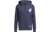 Sweatshirts Men's Blue Hooded Moderate Regular HG4437