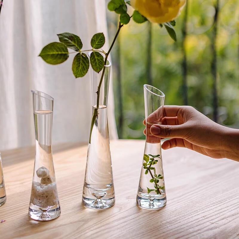 Hánwèi Decorative Glass Vases & Hydroponic Planters