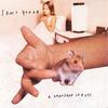 VINYL LP - GEFFEN RECORDS - A Thousand Leaves - Sonic Youth - 0602547431042 - 12 Pouces