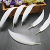 50Pcsdiy Scimitar Feather Colored Feather Handicrafts Jewelry Accessories Material Feather